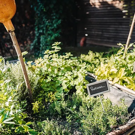 Wellness & Thermal Retreat Muehlbach 4* Bad Füssing