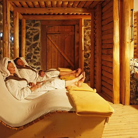 ホテル Wellness & Thermal Retreat Muehlbach