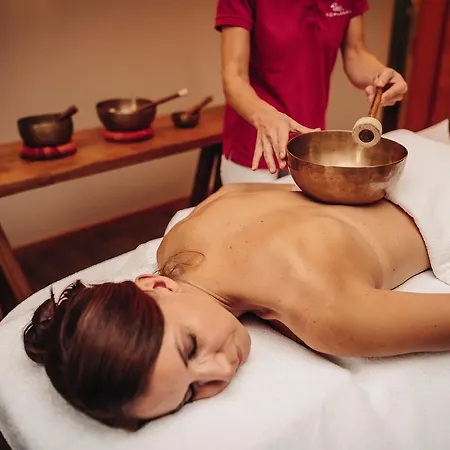 Отель Wellness & Thermal Retreat Muehlbach 4*