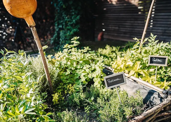 Mühlbach Thermal Spa&romantik 4* Bad Füssing